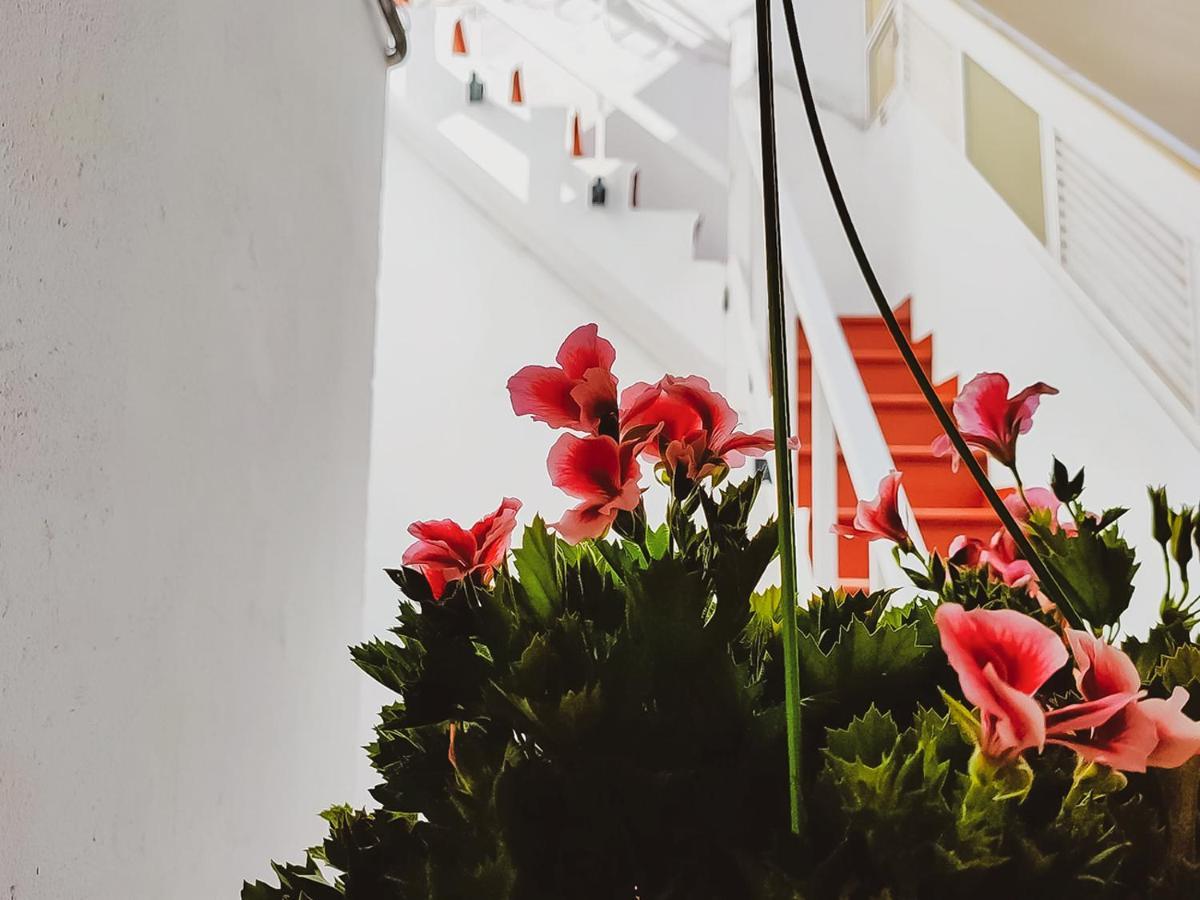 Alma Canaria Rooms Las Palmas de Gran Canaria Ngoại thất bức ảnh